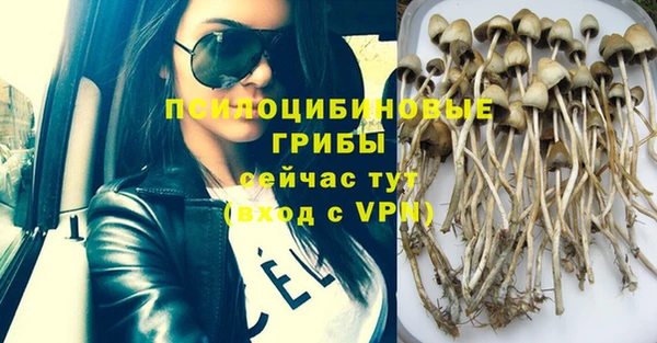 MESCALINE Елизово
