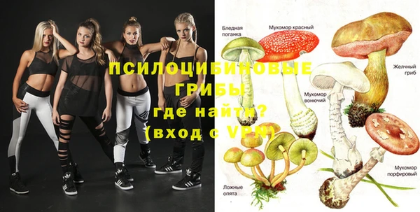 амфетамин Ельня