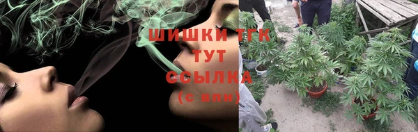винт Елабуга