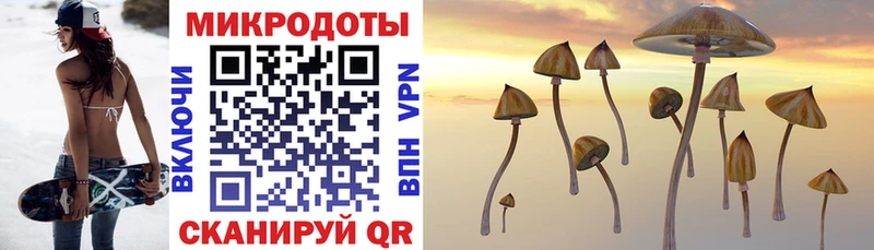 Псилоцибиновые грибы GOLDEN TEACHER Купить закладки Касимов